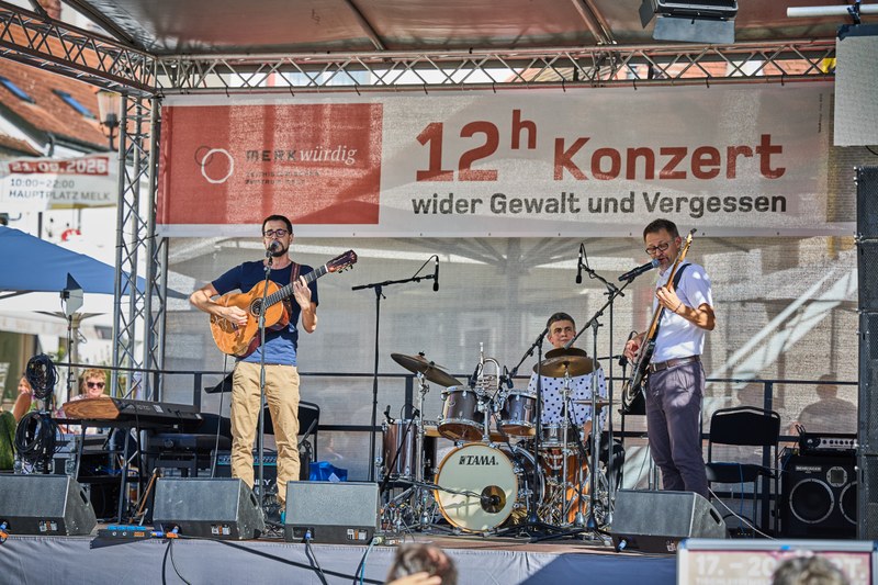12-h-Konzert_1152©FranzGleiß.jpg