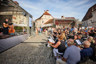12-h-Konzert_1757©FranzGleiß.jpg